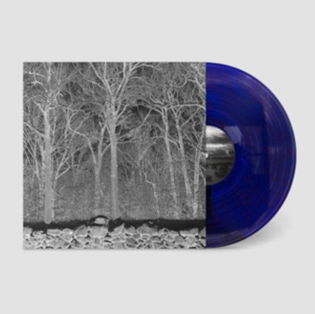 Pile - Sunshine & Balance Beams - Transparent Mix Boris Purple Vinyl