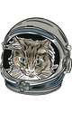 Stellar Records logo