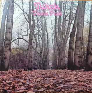 Twink - Think Pink - Used  1970 VG+/VG