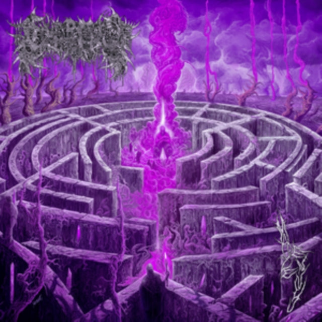 Civerous – Maze Envy - Purple and Magenta Merge