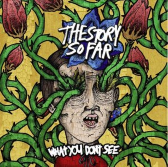 The Story So Far - What You Don't See - 2026 LP Reissue - Crayons