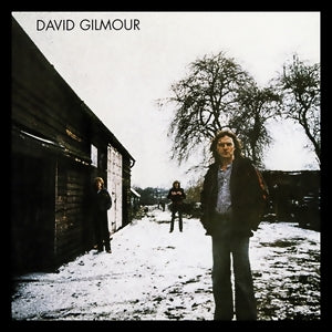 David Gilmour - David Gilmour - Used LP 1978 Reissue VG/VG