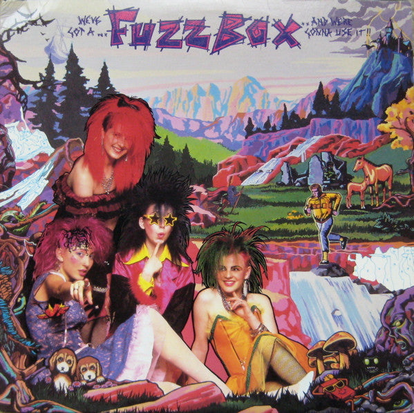 Fuzzbox - We've Got A Fuzzbox And We're Gonna Use It - Used 1986 LP - VG+/VG+ *