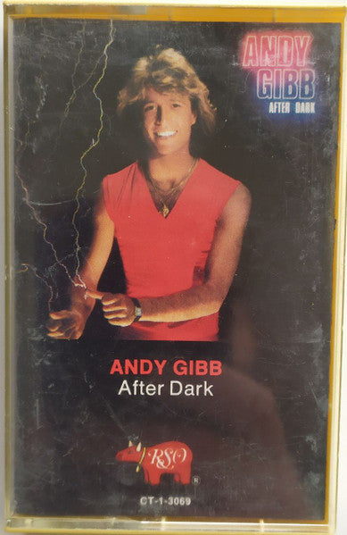 Andy Gibb - After Dark - Used 1980 Cassette - G+/VG