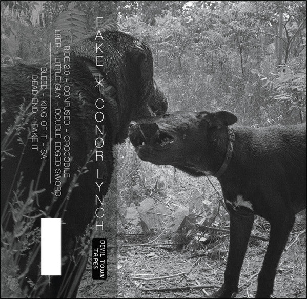 Conor Lynch (2) - Fake - Used - Cassette - Stereo - 2021 Reissue VG+/VG+