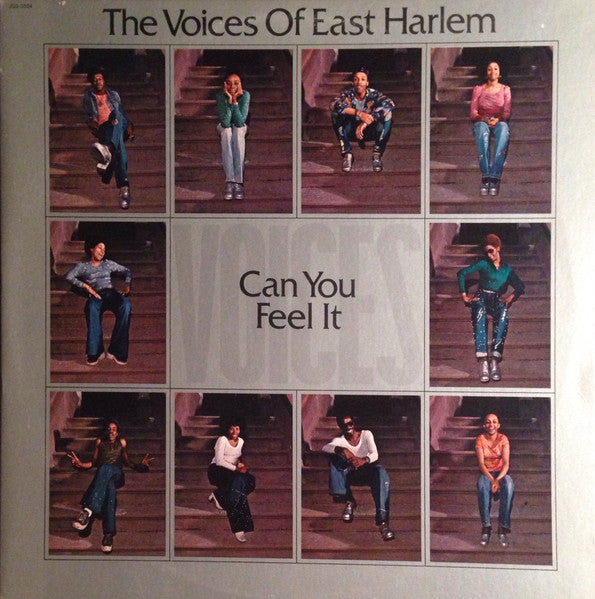 The Voices Of East Harlem - Can You Feel It - Used - LP - Stereo - 33 ⅓ RPM - 1974 Reissue VG/VG