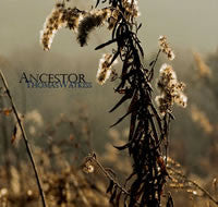 Thomas Watkiss - Ancestor - Used 2007 7" Single - VG+/VG