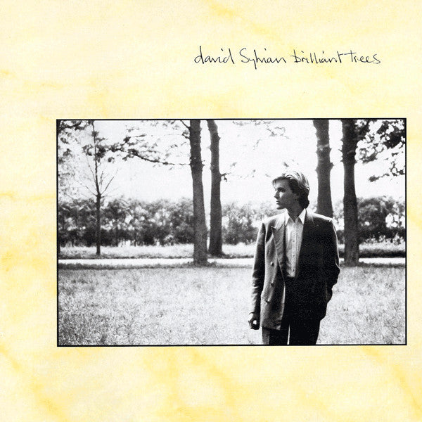 David Sylvian - Brilliant Trees - Used - LP - Stereo - 33 ⅓ RPM - 1984 Reissue VG+/VG+