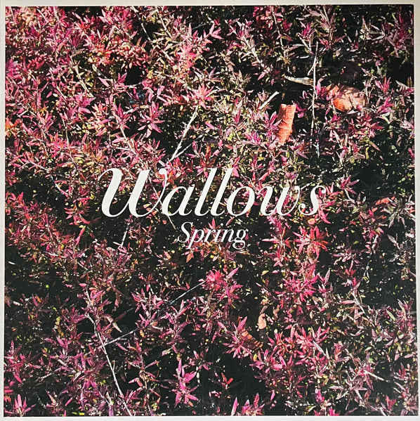 Wallows - Spring - 2018 12" EP - Pink and Green