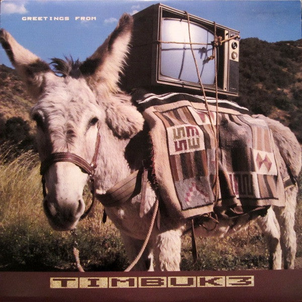 Timbuk 3 - Greetings From Timbuk 3 - Used - LP - Stereo - 33 ⅓ RPM - 1986 Reissue VG/VG