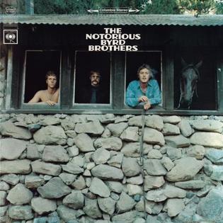 The Byrds - The Notorious Byrd Brothers - Used LP 1968 Reissue VG/VG