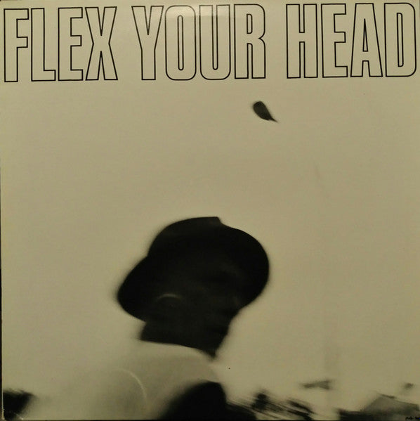 Various - Flex Your Head - Used - LP - Stereo - 33 ⅓ RPM - 1985 Reissue VG+/VG*