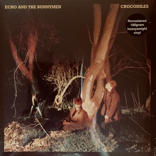 Echo & The Bunnymen - Crocodiles - Reissue