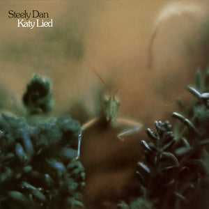 Steely Dan - Katy Lied - Used CD 198X Reissue VG/VG