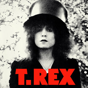 The Slider - T. Rex - Used 1972 Reissue VG/VG