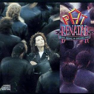 Pat Benatar - Wide Awake In Dreamland - Used LP 1988 Reissue VG+/VG+